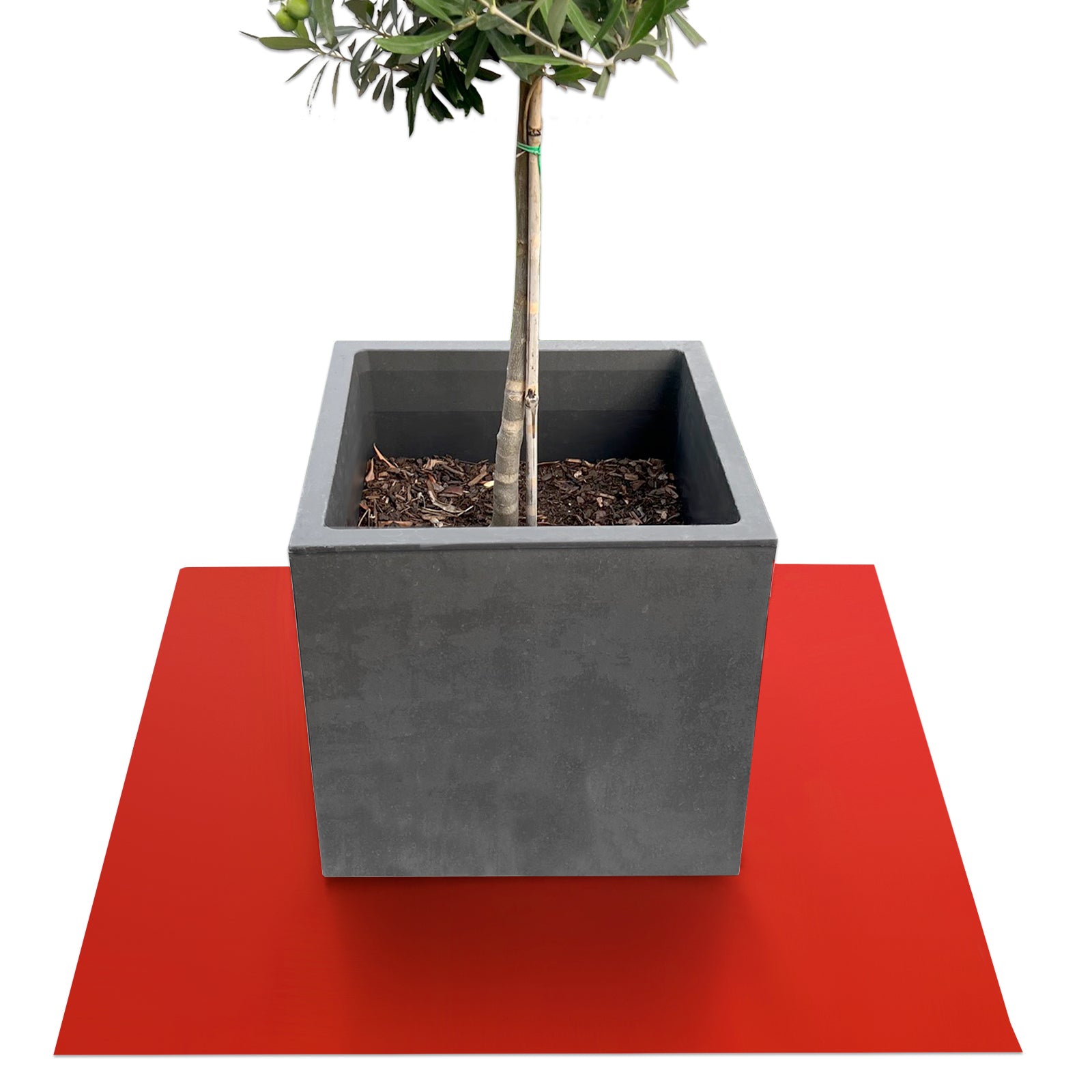 Podstawka z fazowaną krawędzią do doniczek z fazowaną krawędzią | Majesty | Ochrona podstawy | W wielu kolorach i rozmiarach