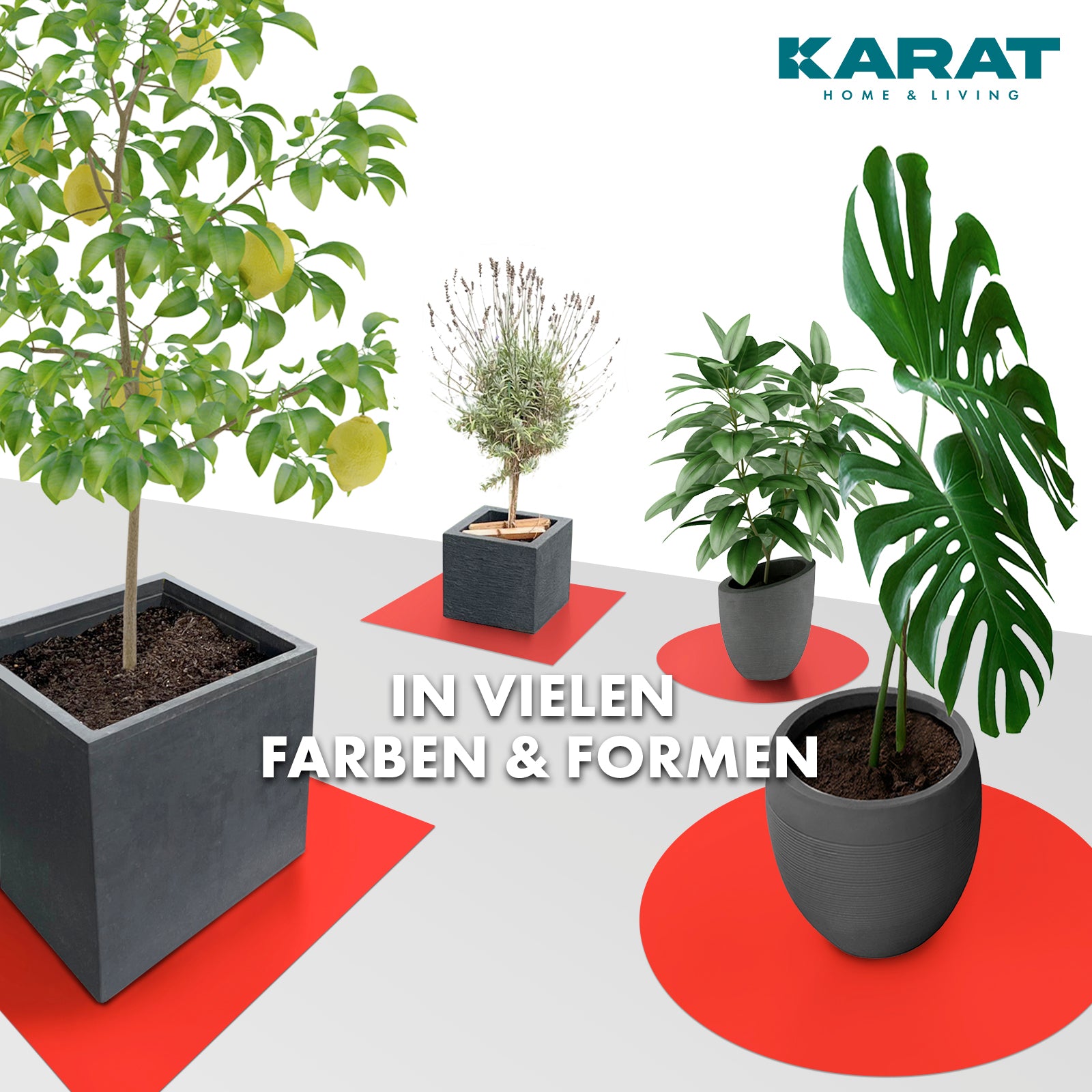 Podstawka z fazowaną krawędzią do doniczek z fazowaną krawędzią | Majesty | Ochrona podstawy | W wielu kolorach i rozmiarach