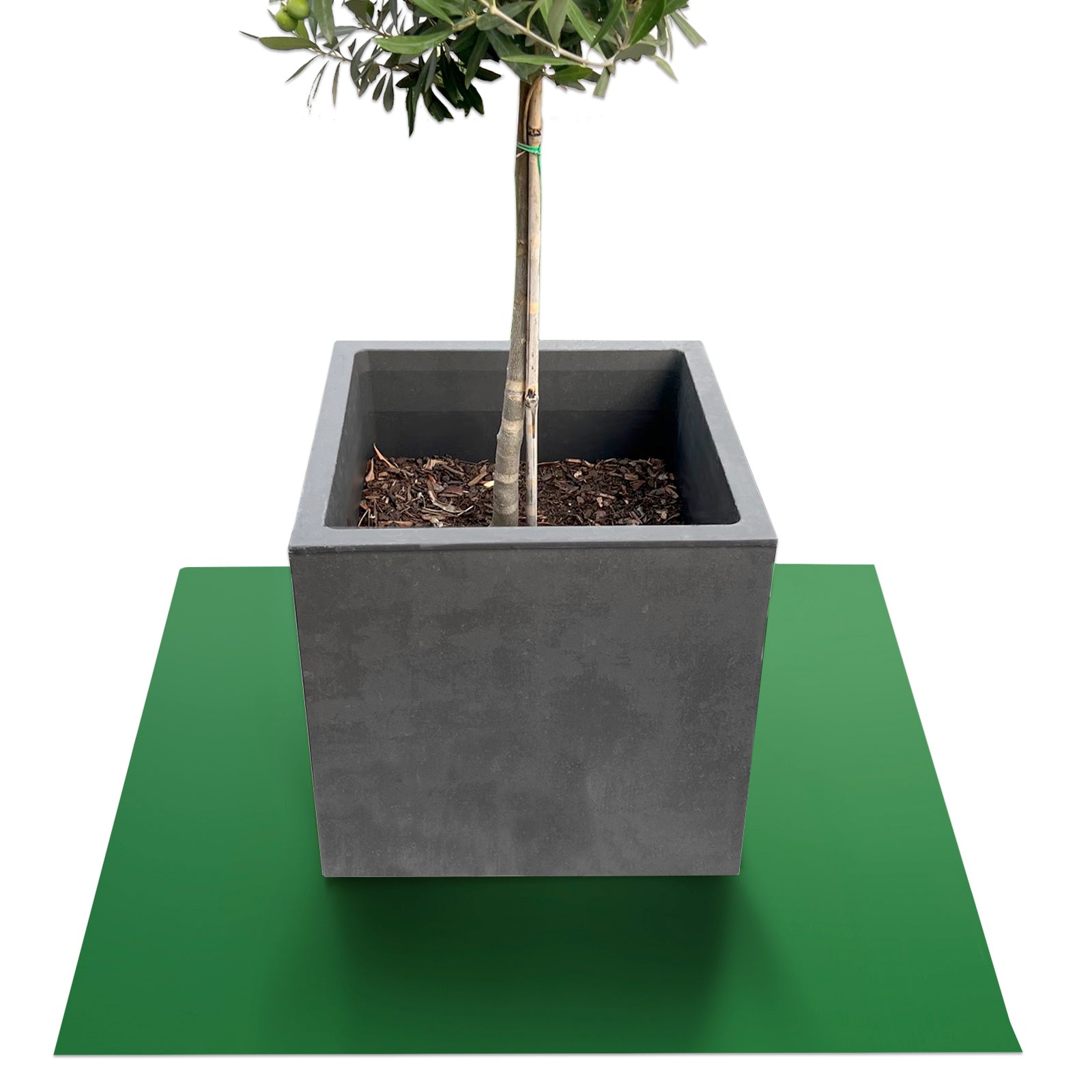 Podstawka z fazowaną krawędzią do doniczek z fazowaną krawędzią | Majesty | Ochrona podstawy | W wielu kolorach i rozmiarach