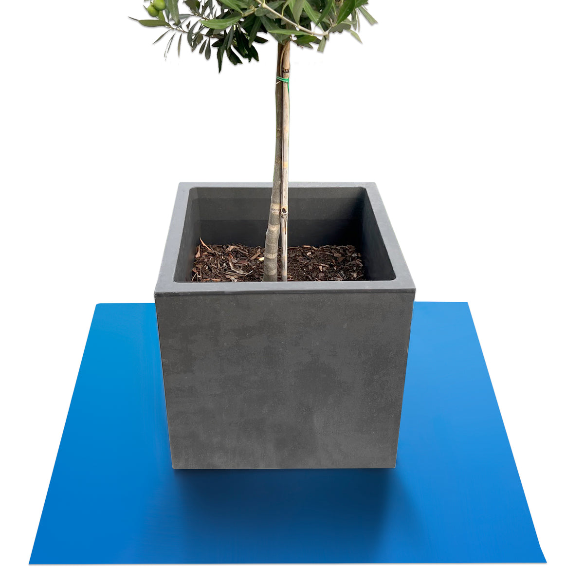 Podstawka z fazowaną krawędzią do doniczek z fazowaną krawędzią | Majesty | Ochrona podstawy | W wielu kolorach i rozmiarach