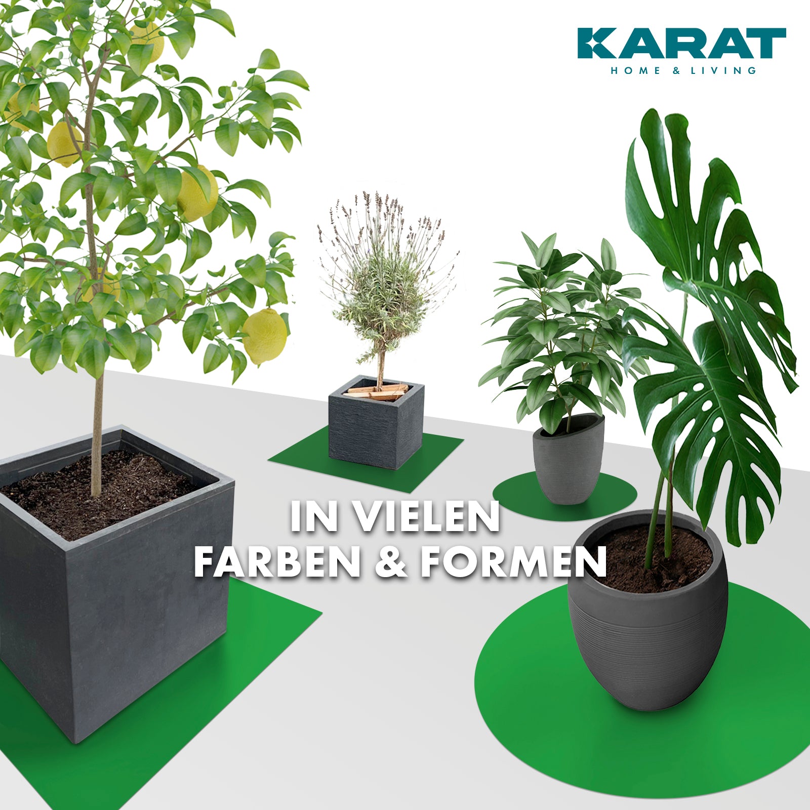 Podstawka z fazowaną krawędzią do doniczek z fazowaną krawędzią | Majesty | Ochrona podstawy | W wielu kolorach i rozmiarach