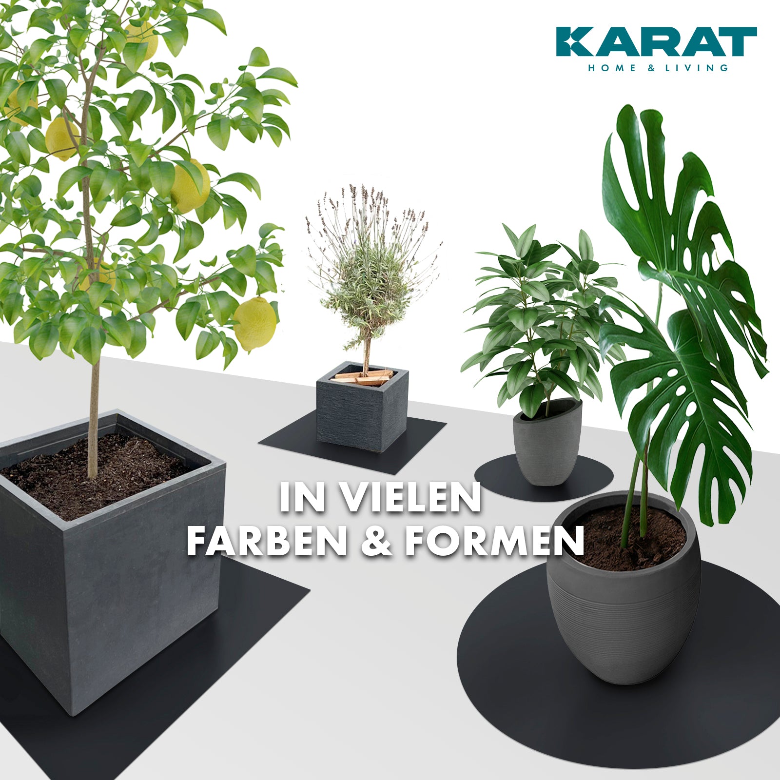 Podstawka z fazowaną krawędzią do doniczek z fazowaną krawędzią | Majesty | Ochrona podstawy | W wielu kolorach i rozmiarach