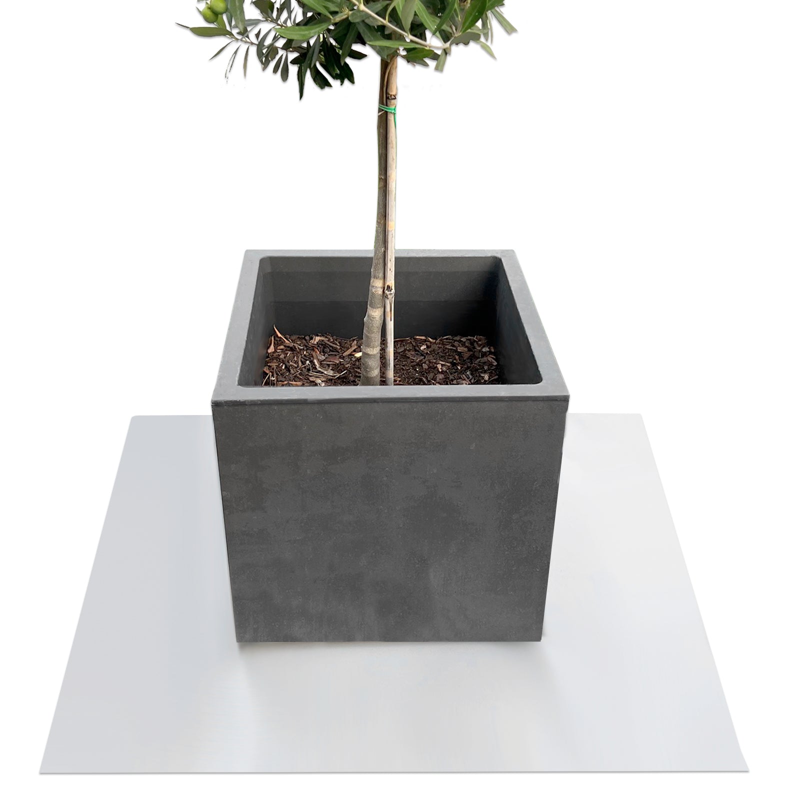 Podstawka z fazowaną krawędzią do doniczek z fazowaną krawędzią | Majesty | Ochrona podstawy | W wielu kolorach i rozmiarach