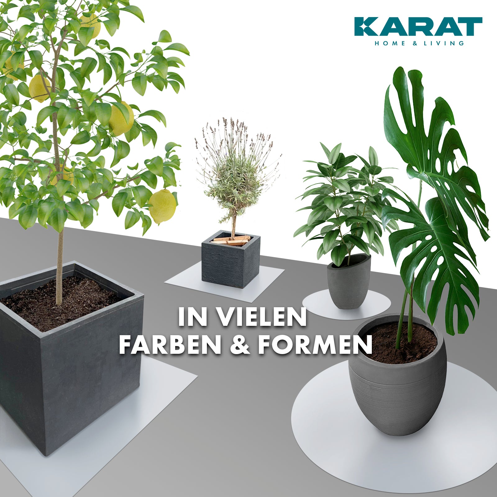 Podstawka z fazowaną krawędzią do doniczek z fazowaną krawędzią | Majesty | Ochrona podstawy | W wielu kolorach i rozmiarach