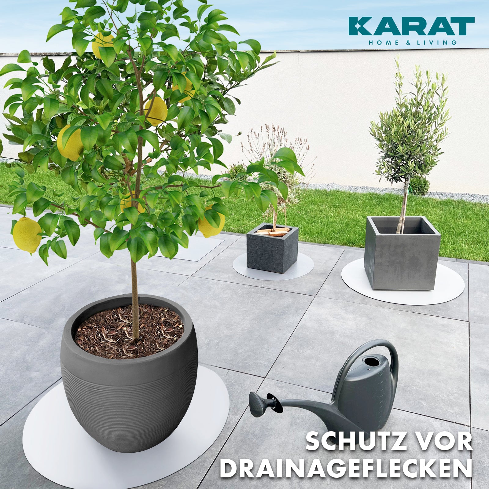 Podstawka z fazowaną krawędzią do doniczek z fazowaną krawędzią | Majesty | Ochrona podstawy | W wielu kolorach i rozmiarach