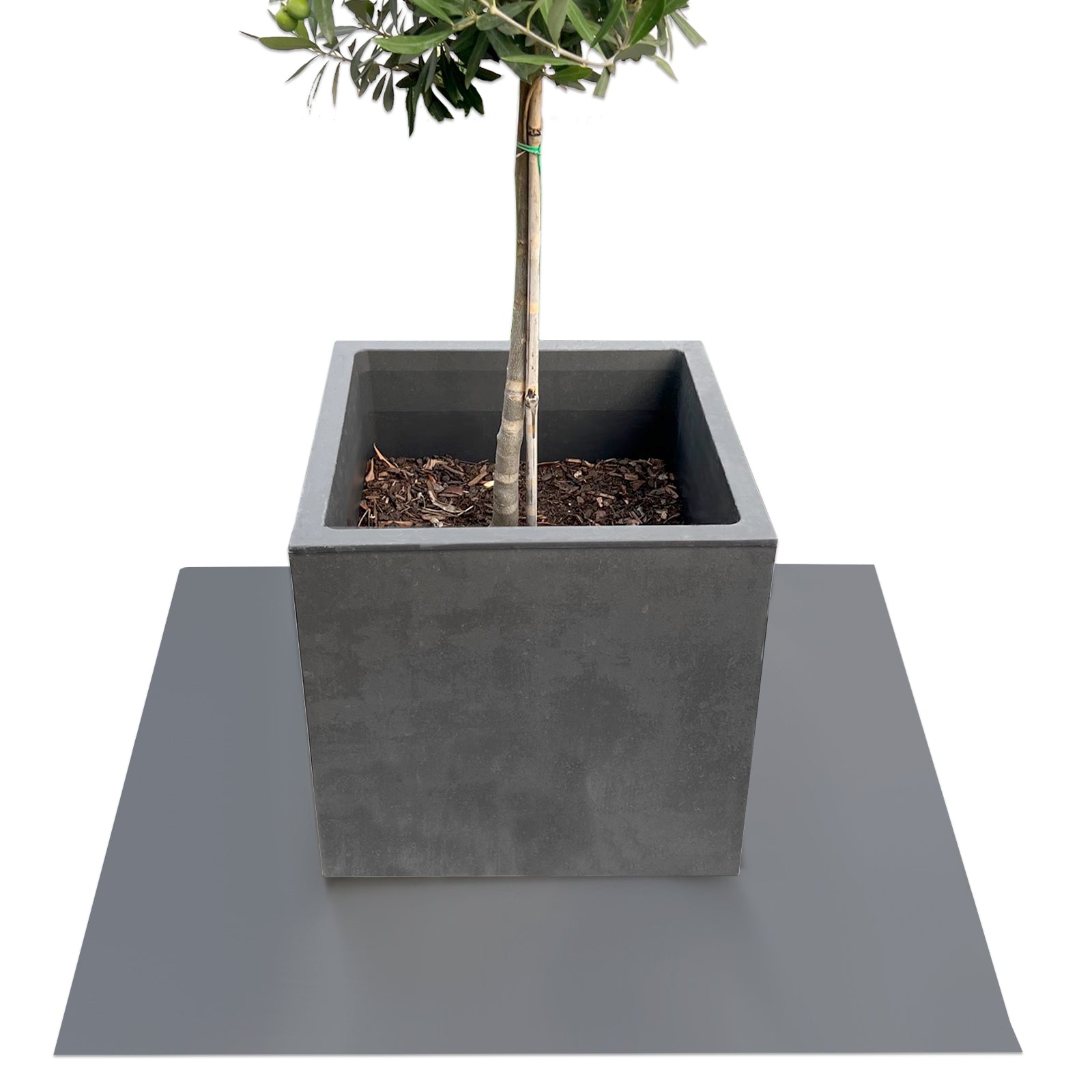 Podstawka z fazowaną krawędzią do doniczek z fazowaną krawędzią | Majesty | Ochrona podstawy | W wielu kolorach i rozmiarach