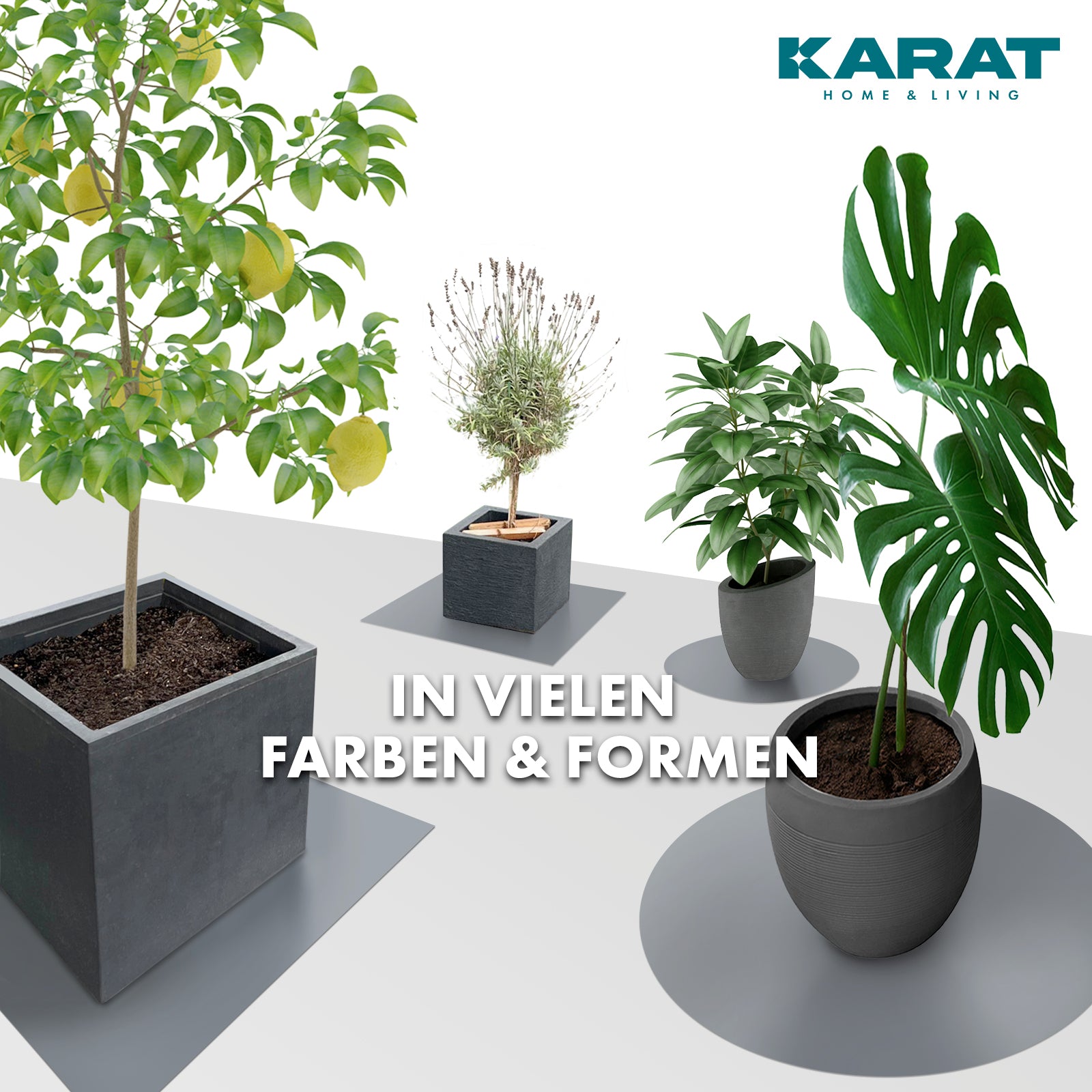 Podstawka z fazowaną krawędzią do doniczek z fazowaną krawędzią | Majesty | Ochrona podstawy | W wielu kolorach i rozmiarach