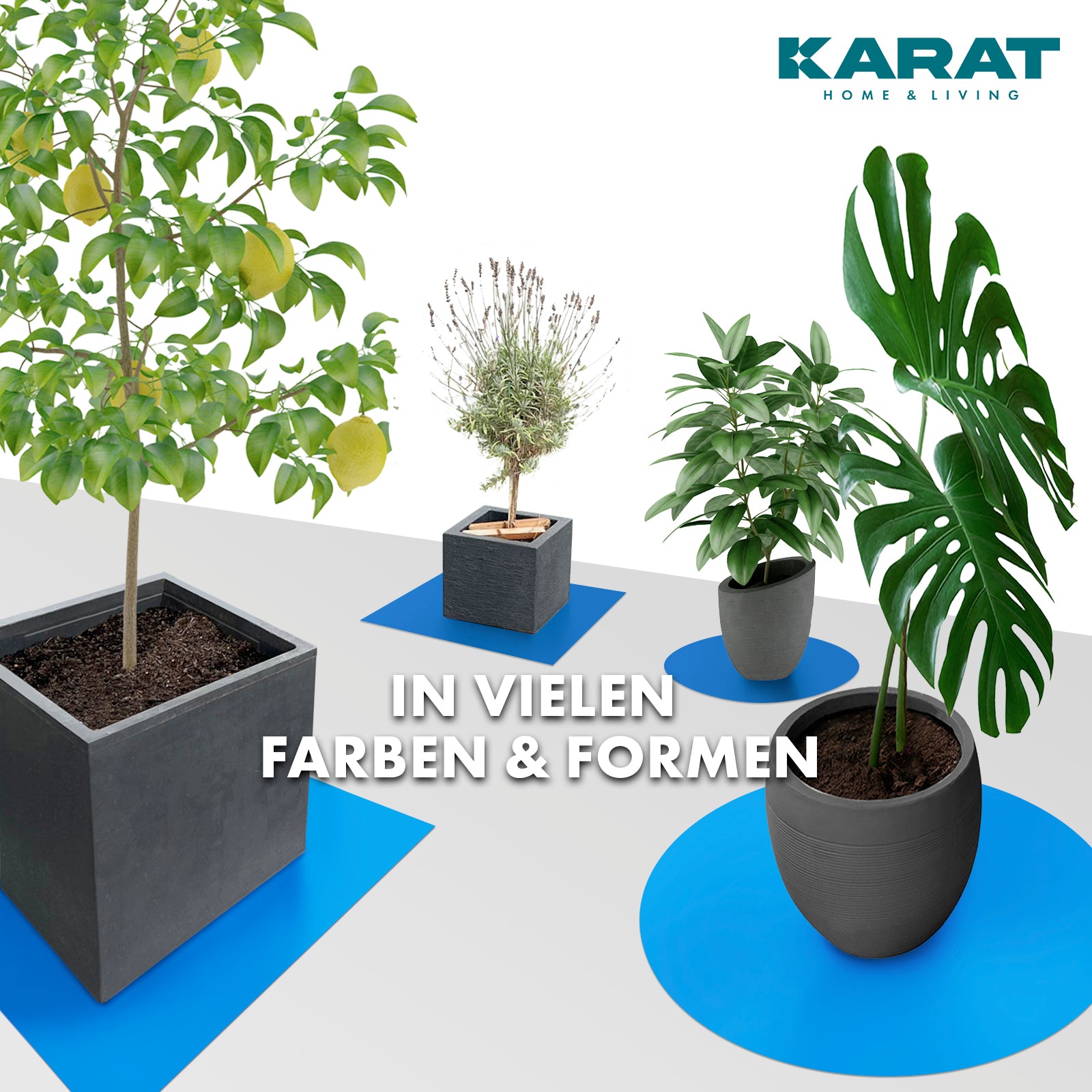 Podstawka z fazowaną krawędzią do doniczek z fazowaną krawędzią | Majesty | Ochrona podstawy | W wielu kolorach i rozmiarach