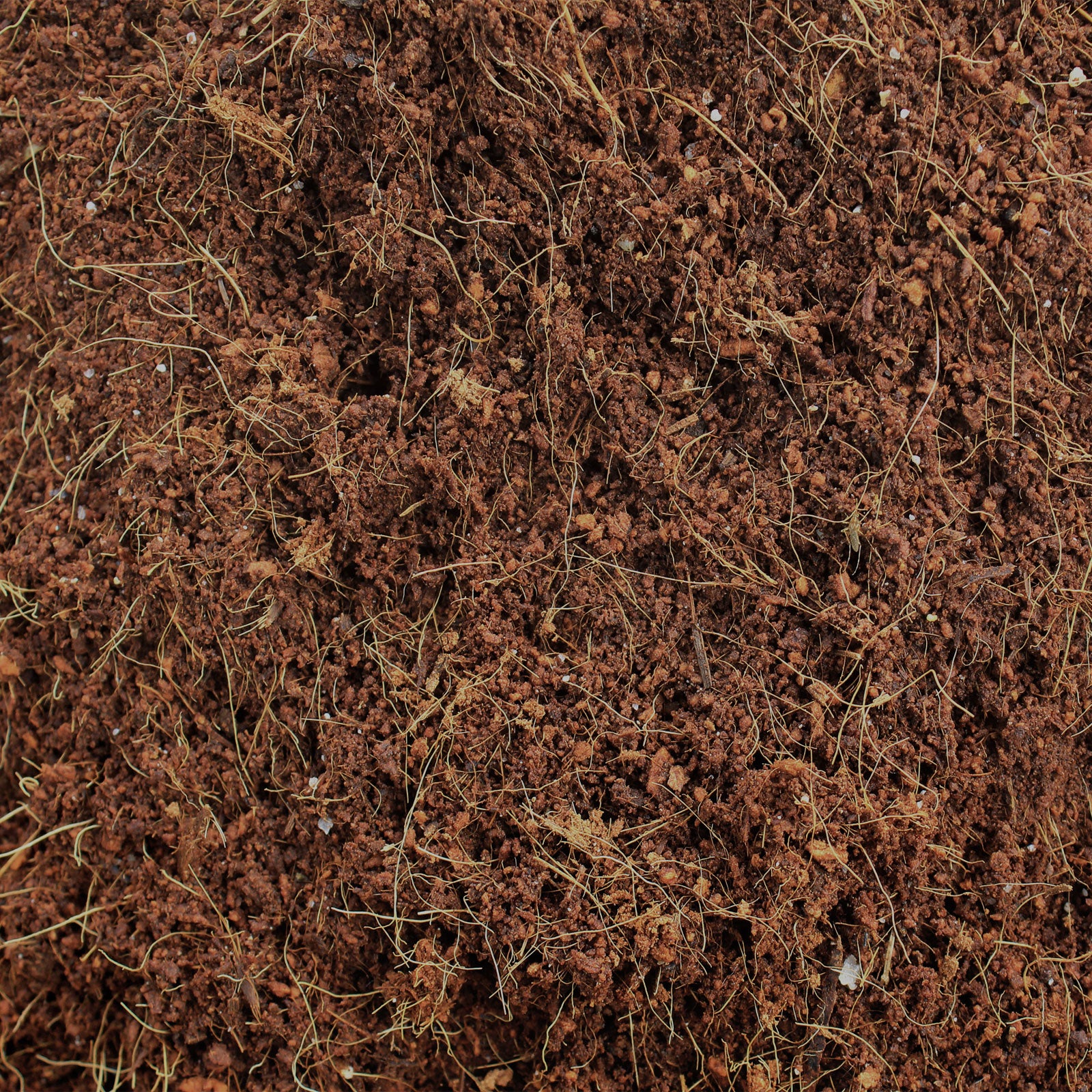 Kokoserde Blumenerde aus Kokosfasern Als Block gepresst 5 kg