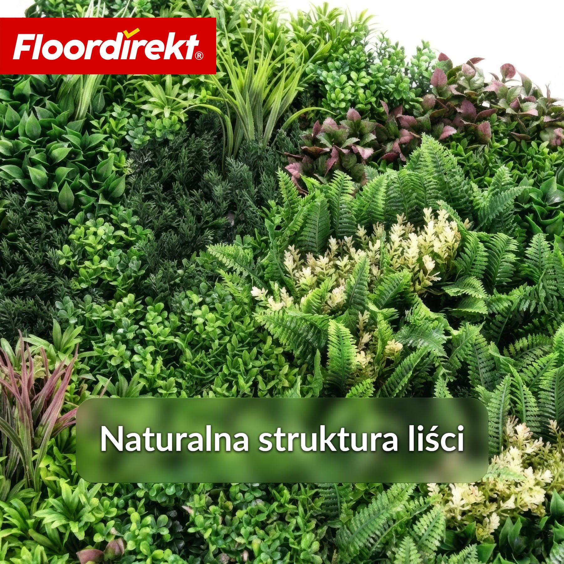 Ścianka roślinna | Hera | Naturalny, bezobsługowy panel z roślin sztucznych | Odporny na słońce i rozszerzalny dzięki systemowi klik | 100 × 100 cm