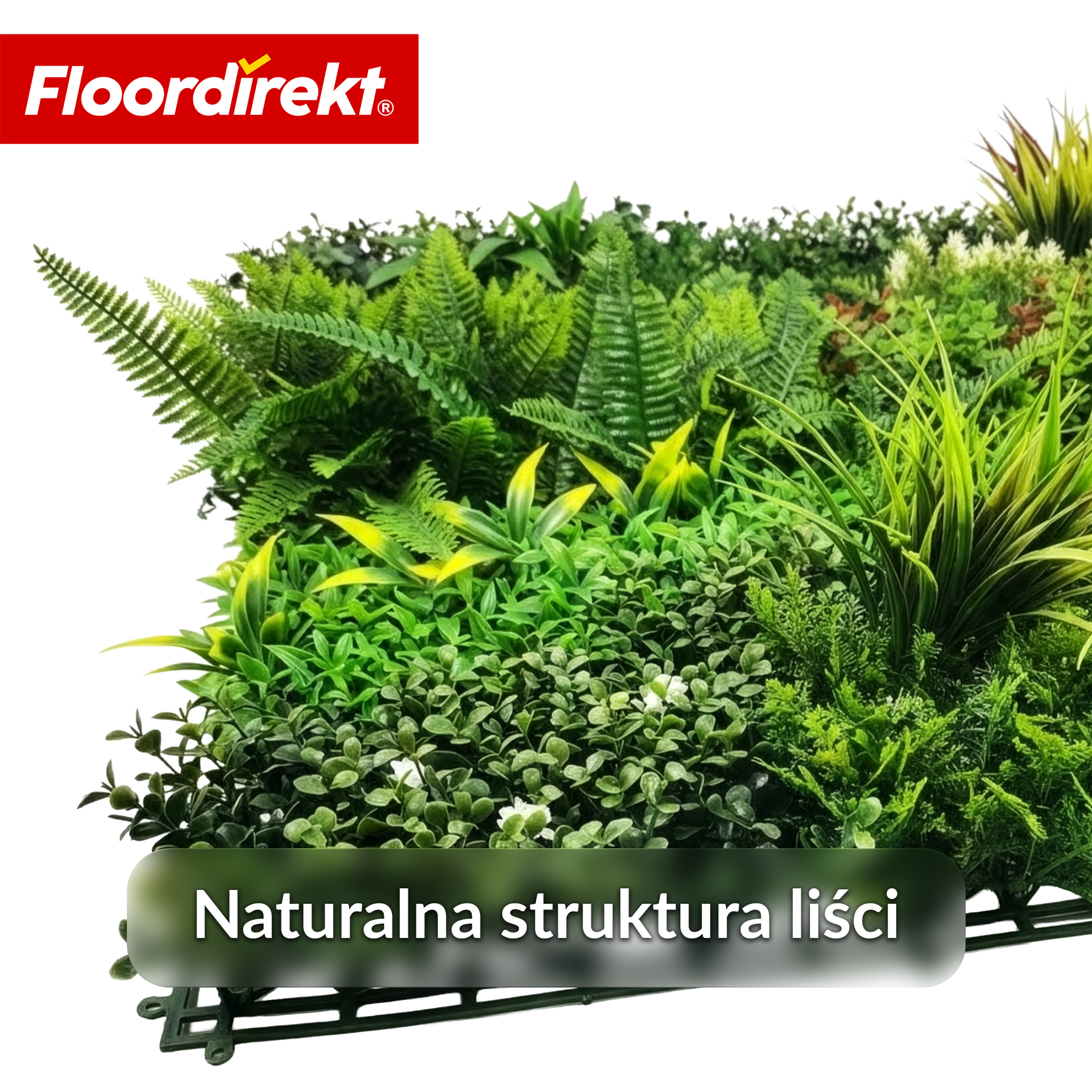 Ściana roślinna | Meadow | Naturalny panel z roślin sztucznych, odporny na słońce i bezobsługowy | Rozszerzalny system klik | 100 × 100 cm