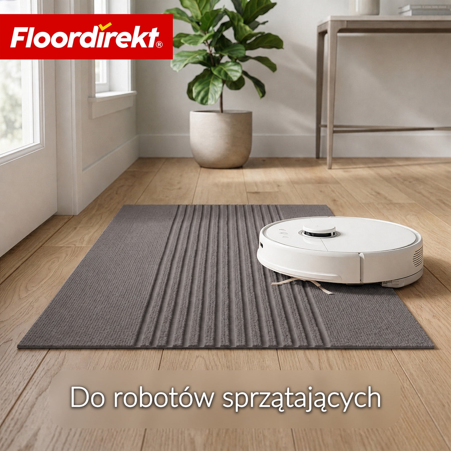 T6_Szare paski