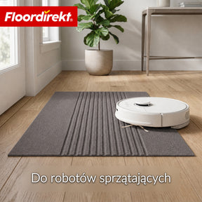 T6_Szare paski