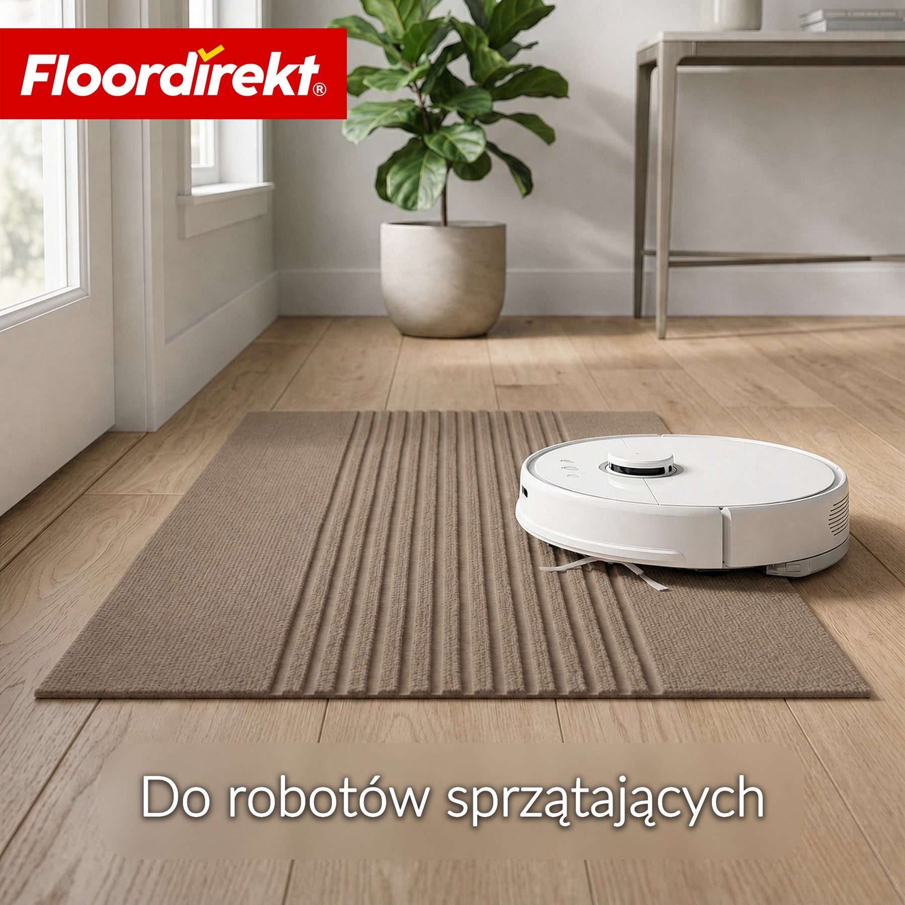 T6_Beżowe paski