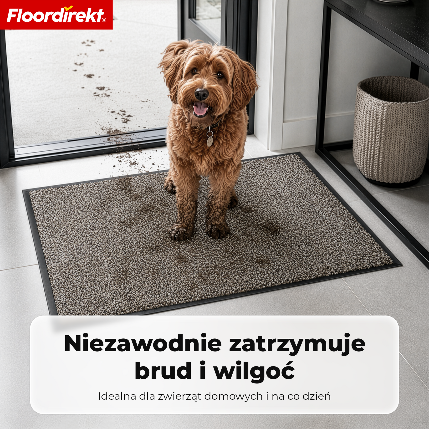 F2_Beżowy