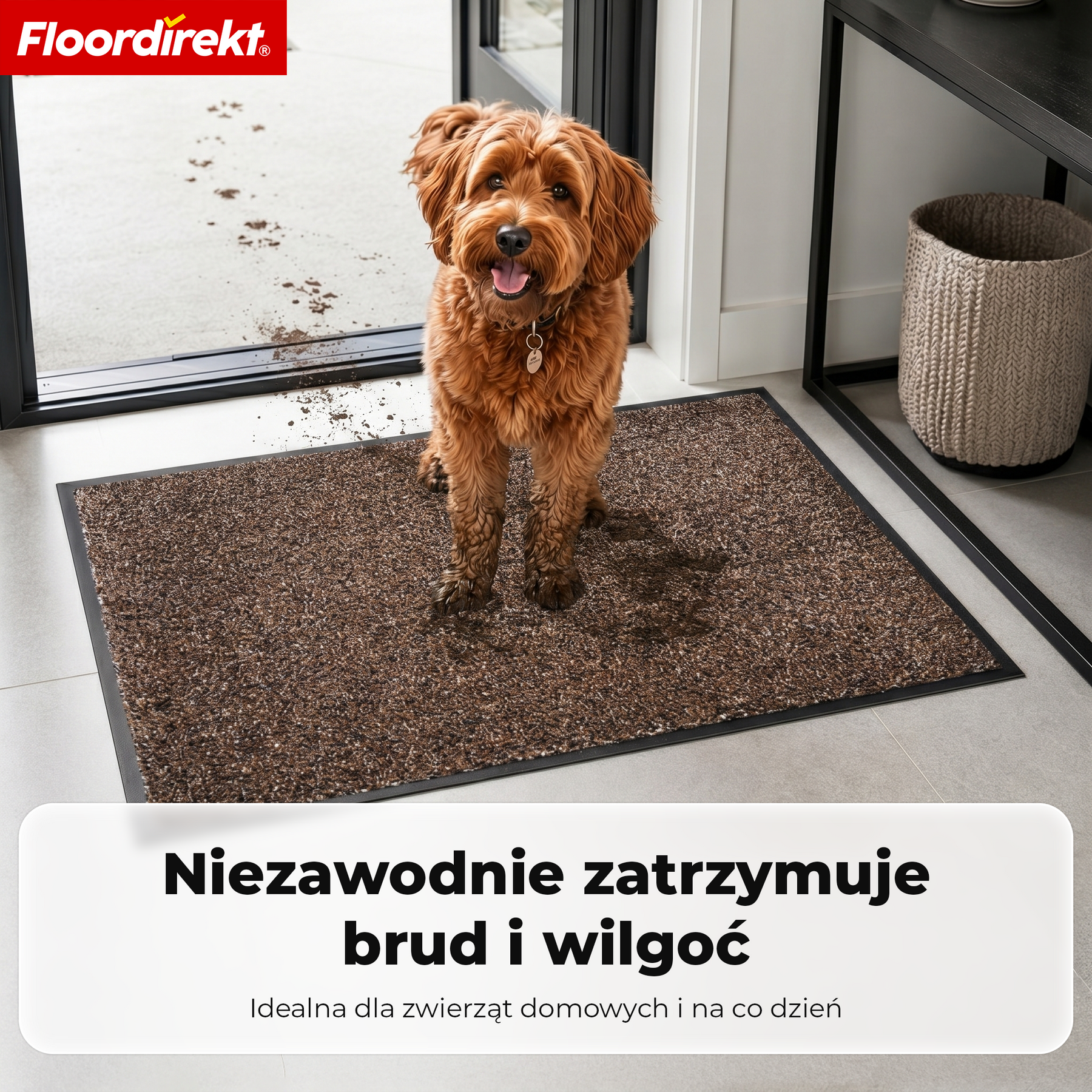 T1_Brązowy