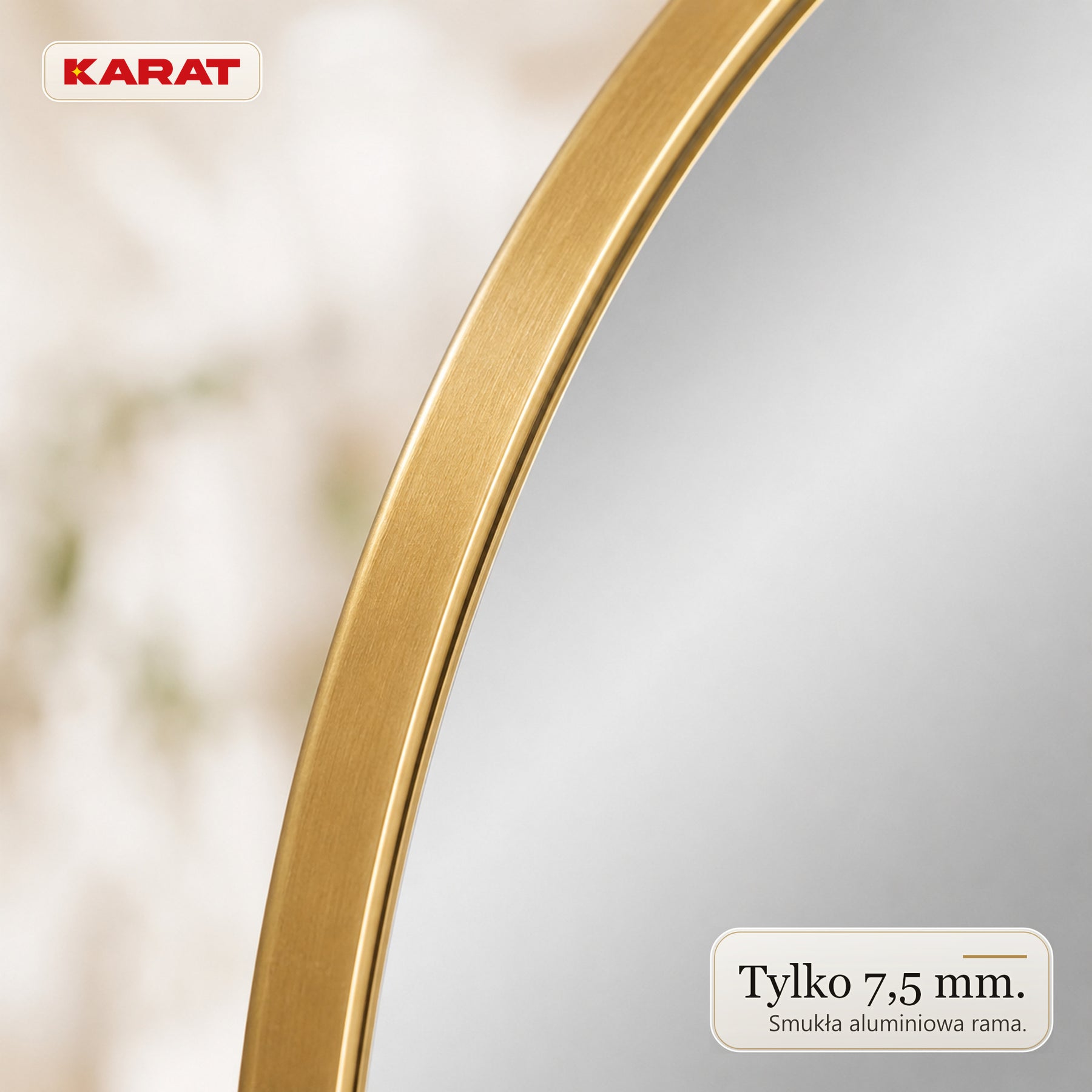 Lustro ścienne | Lena | Organiczne lustro z aluminiową ramą w kolorze szampańskim | 60 × 90 cm