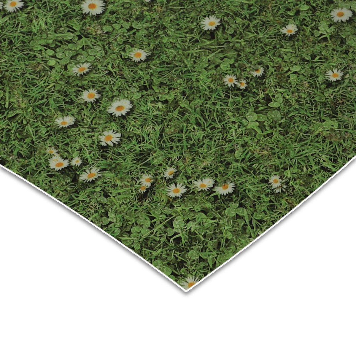 ✂ 3D CV-winylowe podłogi | Daisies | na wymiar